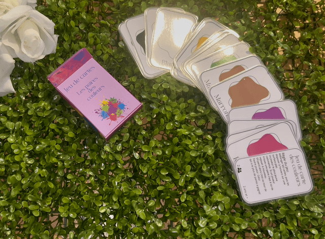 Jeu de 22 cartes Les couleurs 