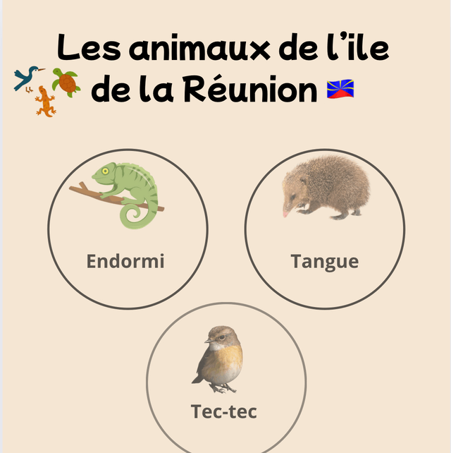 Livret Réunion 974 dès 2 ans